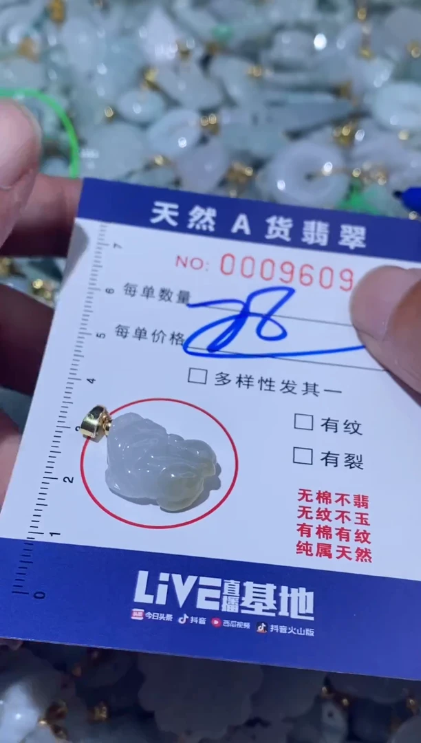 【闪购商品】翡翠颈饰未镶嵌00009609