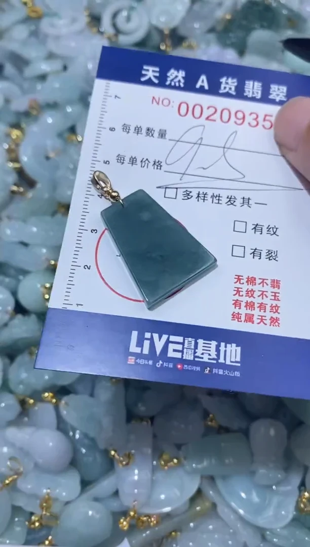 【闪购商品】翡翠颈饰未镶嵌00020935