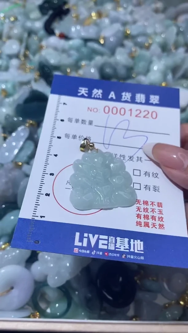 【闪购商品】翡翠颈饰未镶嵌00001220