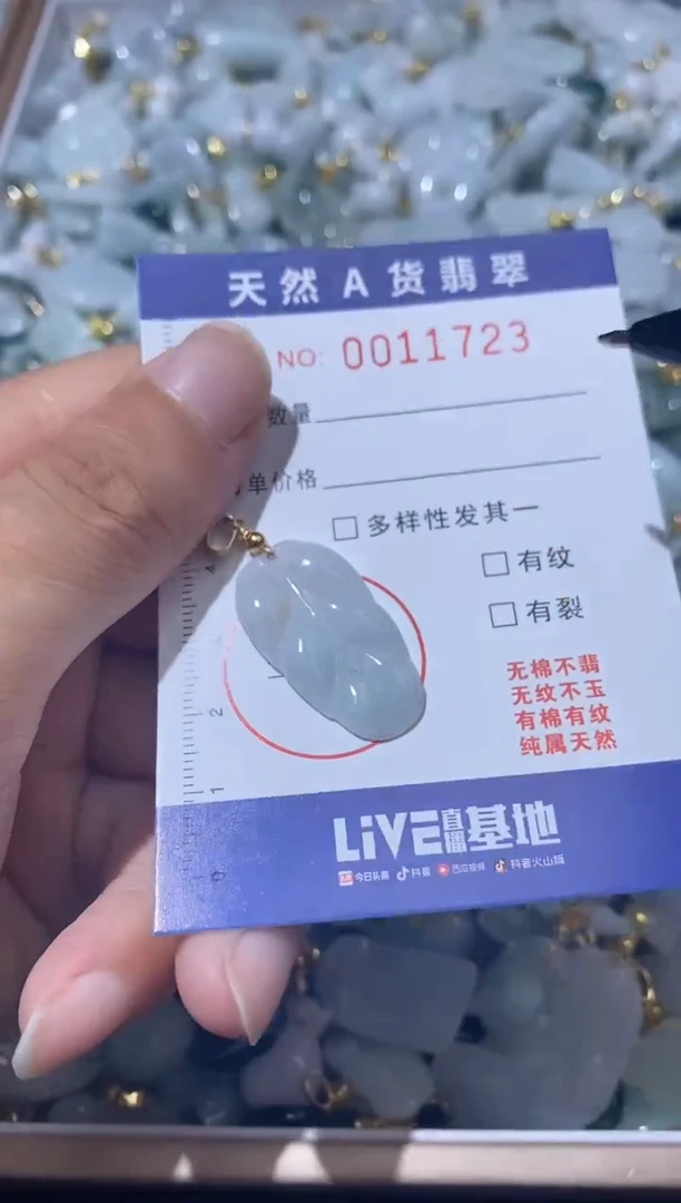 【闪购商品】翡翠颈饰未镶嵌00011723