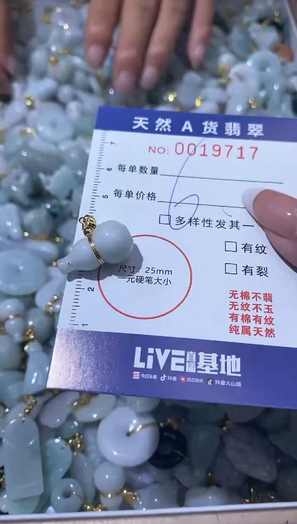 【闪购商品】翡翠颈饰未镶嵌00019717