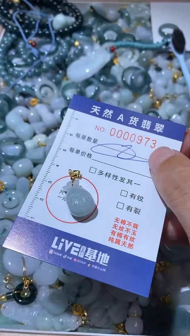 【闪购商品】翡翠颈饰未镶嵌00000973