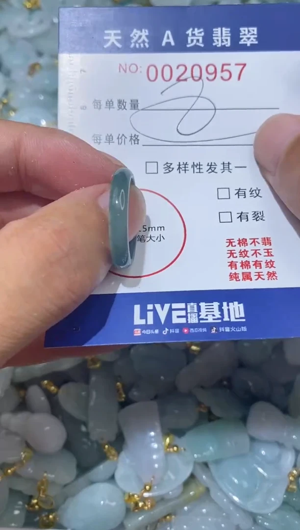【闪购商品】翡翠颈饰未镶嵌00020957