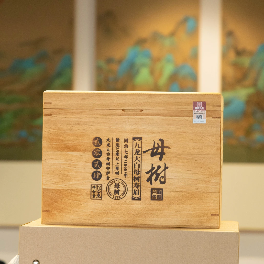 龍嘘【静姐专属】2024年九龙大白母树寿眉250g