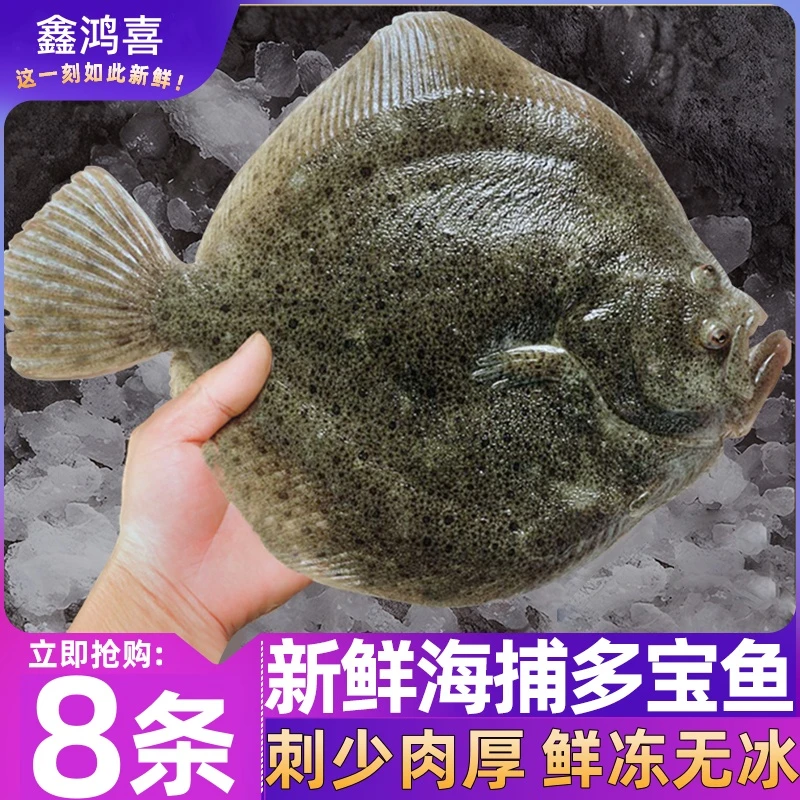 【大号多宝鱼】新鲜海捕多宝鱼【拍6条送2条】到手8条顺丰冷链包邮