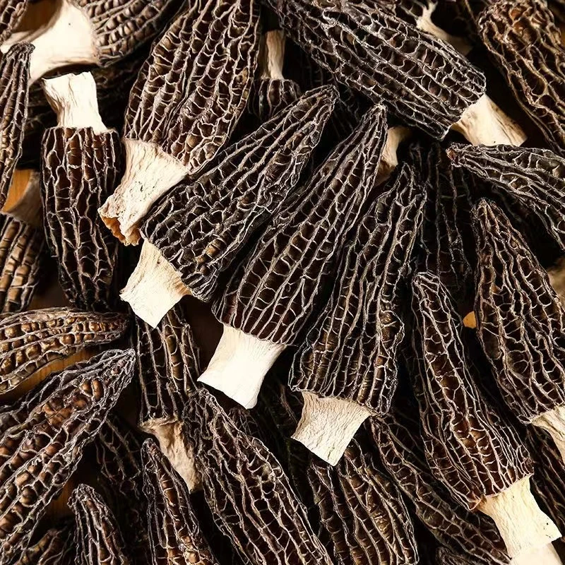 30份起拍云南羊肚菌头茬干货煲汤食材农家特产滋补养生1克福利品