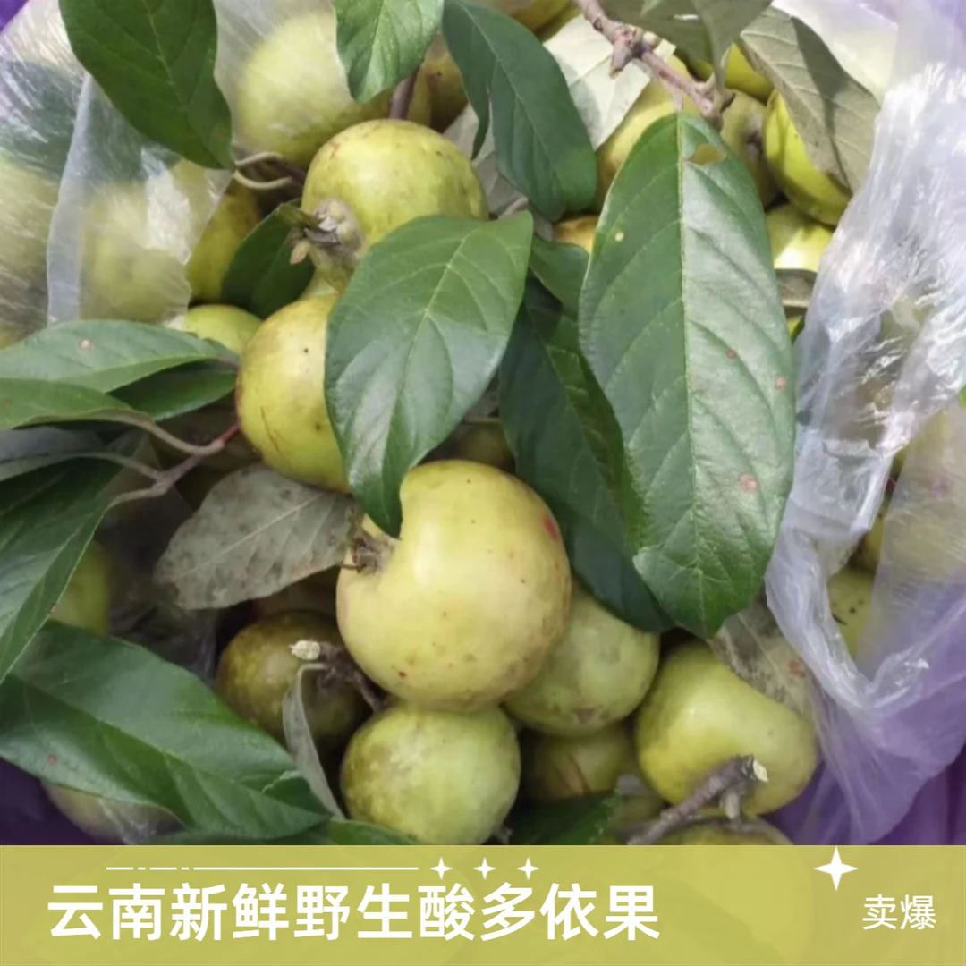 野生多依果云南特产酸多依渣子果野果水果孕妇馋嘴多雨野苹果包邮