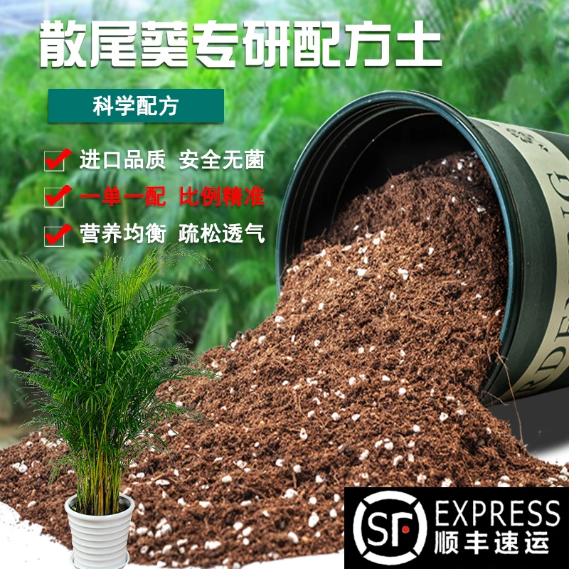 散尾葵专用土室内盆栽土种植土壤散尾葵专用营养土花泥疏松透气土