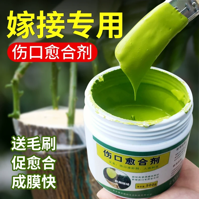 大树伤口愈合剂树枝封口修复膏植物创伤愈合液树干涂抹剂嫁接愈合