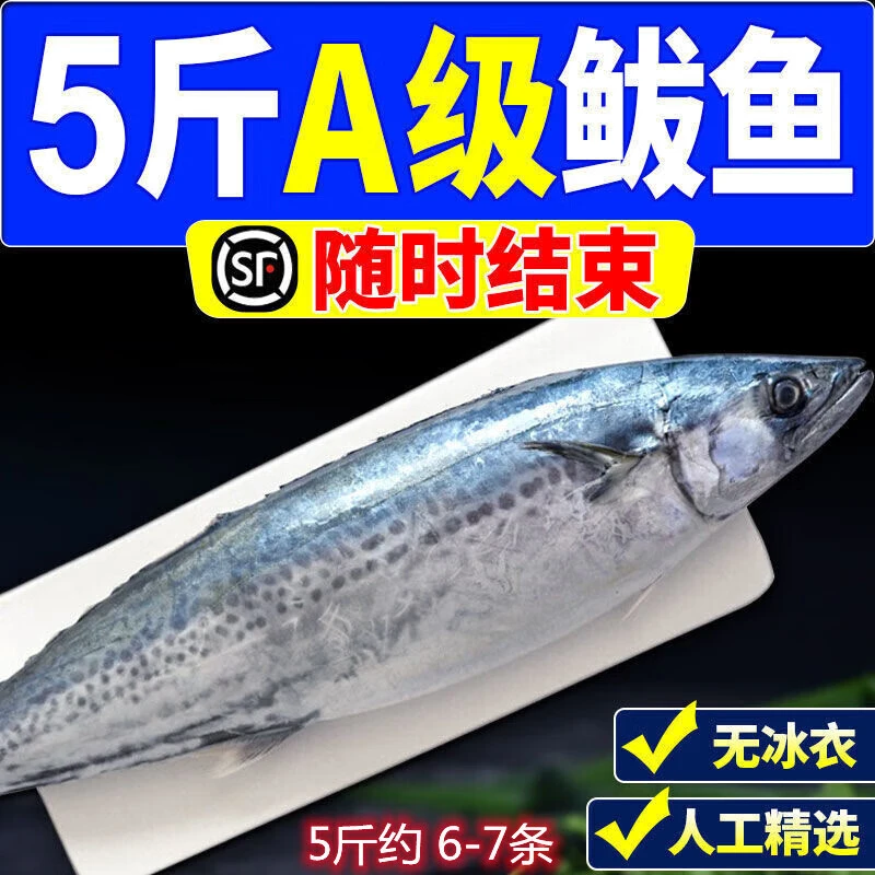 5斤青岛鲜活大鲅鱼新鲜马鲛鱼大整条冷冻海捕深海鱼海鲜水产批发