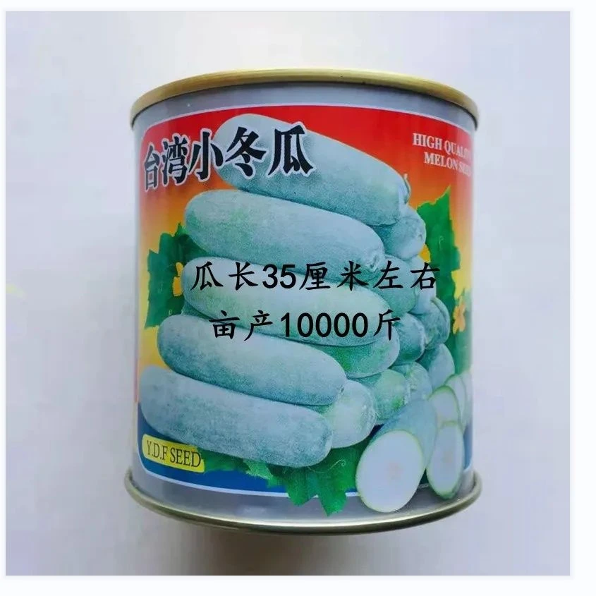 台湾小冬瓜种子高产早熟毛节瓜正宗四季阳台蔬菜种孑精品原装迷你