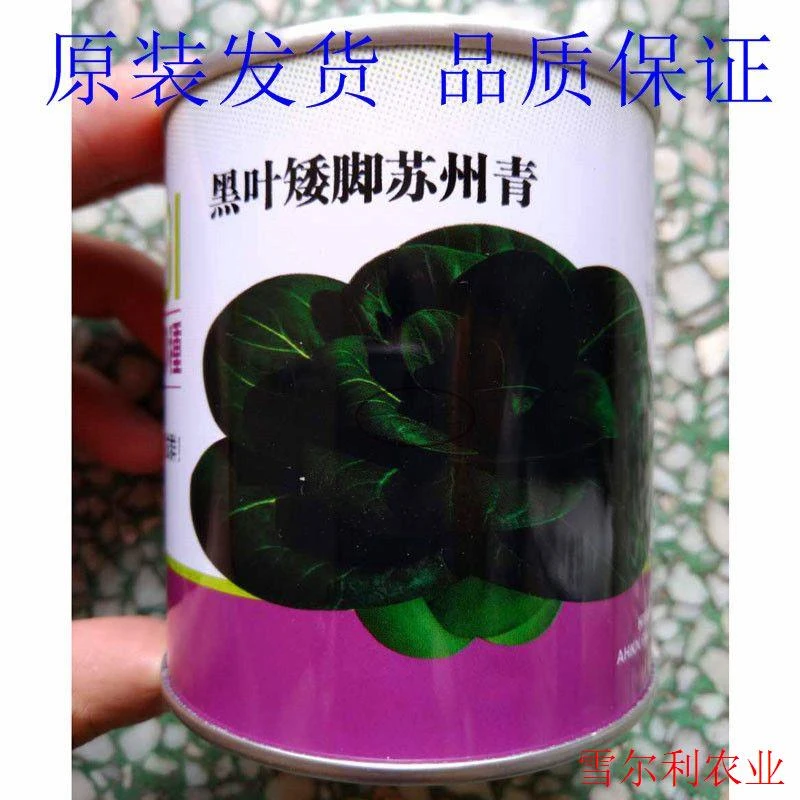 黑叶矮脚苏州青黑大头青菜种子早熟高产耐热耐寒叶黑青梗菜种子