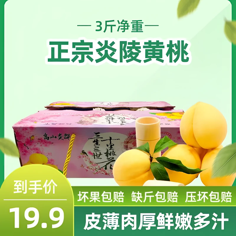 正宗湖南头茬炎陵黄桃大果红心脆甜现摘高山新鲜时令水果净重3斤