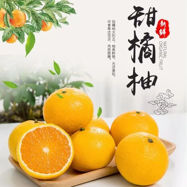 俩轩福建平和桔柚甜心柚子现摘多汁香甜爽口新鲜爆汁产地直发   1