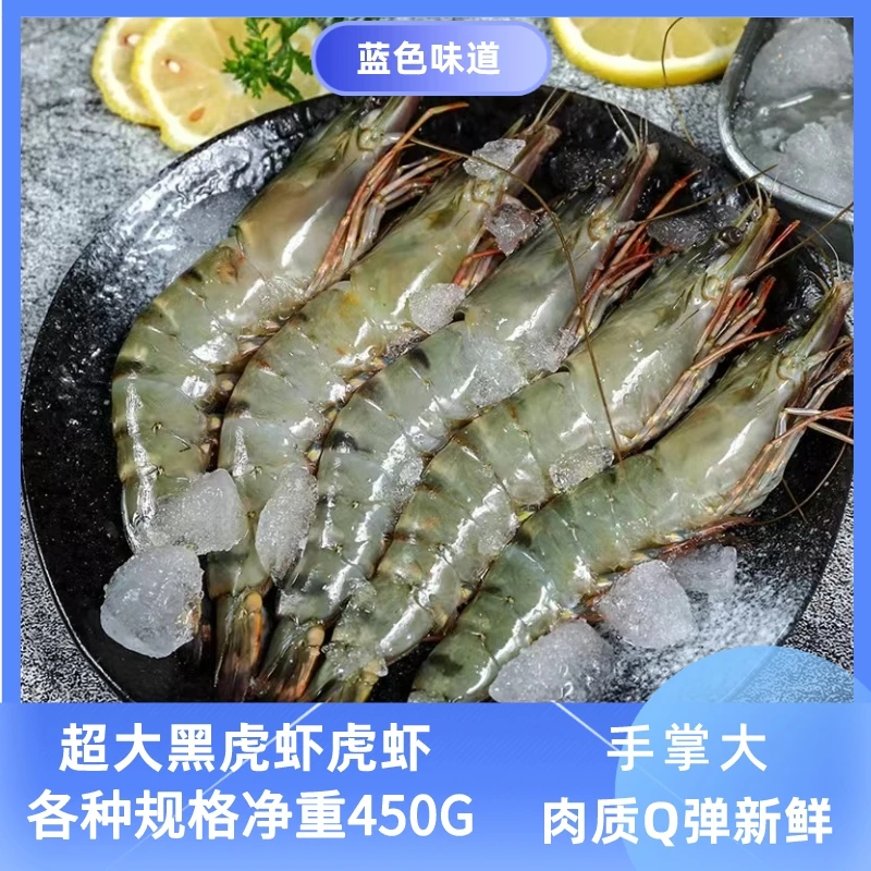 2盒特大虾黑虎虾鲜嫩冷冻发货越南急冻进口草虾肉质紫玉活冻