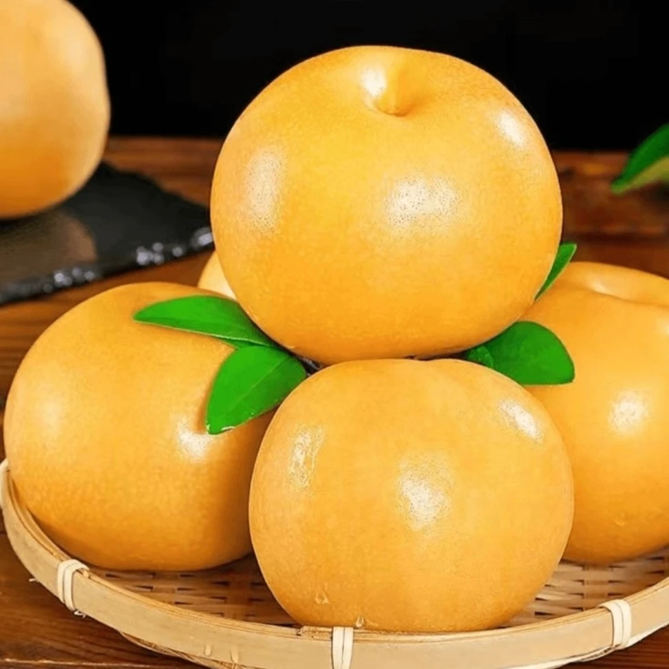 正宗秋月梨脆爽甘甜汁水丰盈产地直发带箱5斤