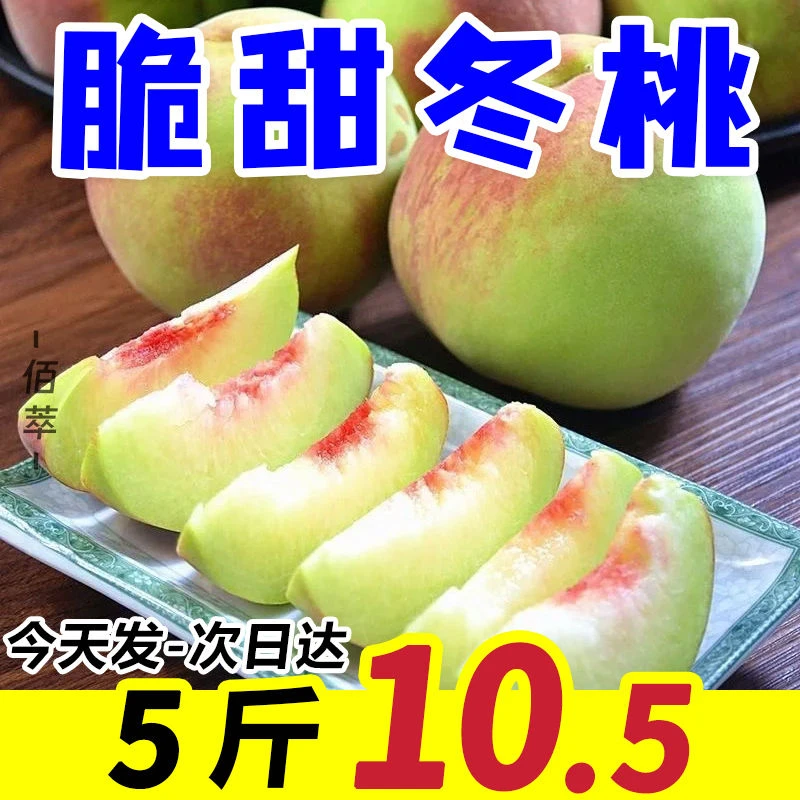 【不甜包赔】冬桃现摘脆甜蜜雪冬桃毛桃新鲜水果批发非黄桃水蜜桃