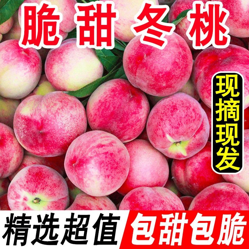 【今日优选】冬桃现摘脆甜蜜雪冬桃毛桃新鲜水果批发非黄桃水蜜桃