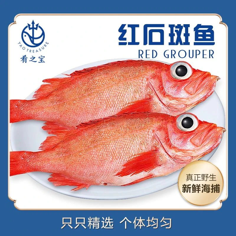 富贵开背整条进口红石斑鱼3包 冷冻腌制去内脏去腥免调理红石斑鱼