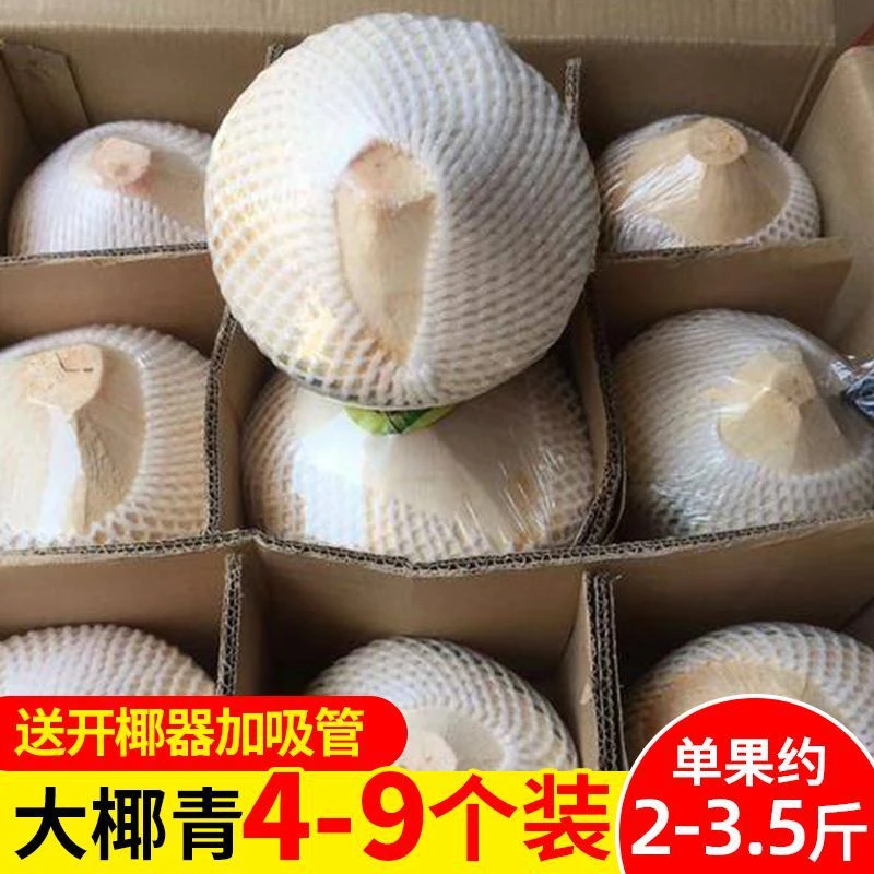 海南椰子文昌椰青夏季天然饮料孕妇水果老少皆宜野生健康营养送礼