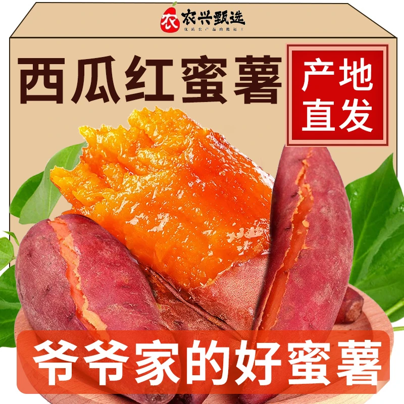 新鲜现挖糖心红薯蜜薯沙地红苕1地瓜番薯批发
