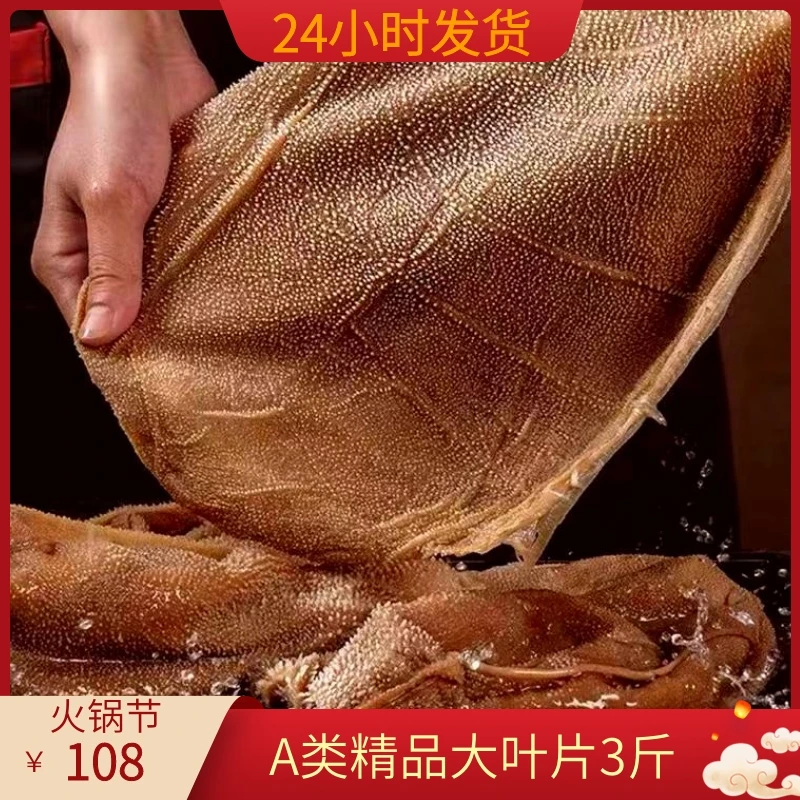 大叶片白千层毛肚牛百叶牛肚牛杂火锅食材商用批发