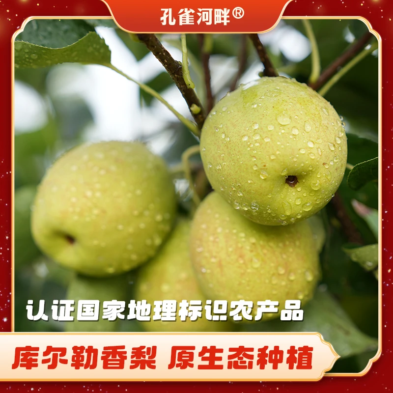 【新疆孔雀河畔】库尔勒香梨整箱5斤  核心产区 绿色食品 出口品质