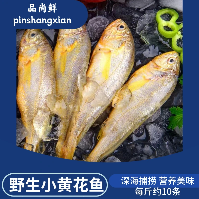 新鲜小黄鱼 活鱼速冻 500g/袋 肉质细腻鲜嫩鲜美海鲜大海捕捞鲜冻