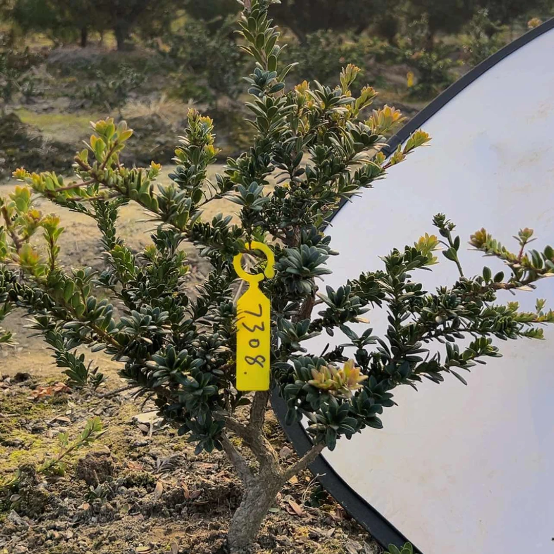 【闪购商品】漂****你一物一拍