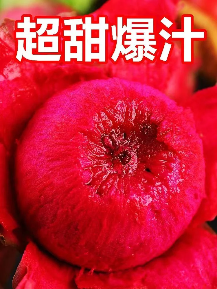 红心火龙果新鲜火龙果当季水果新鲜现摘直发热销放心水果火龙果