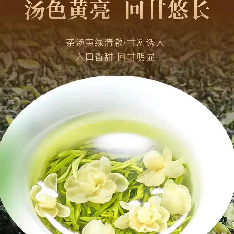 粒粒香广西横店茉莉花茶2024年新茶浓香春茶