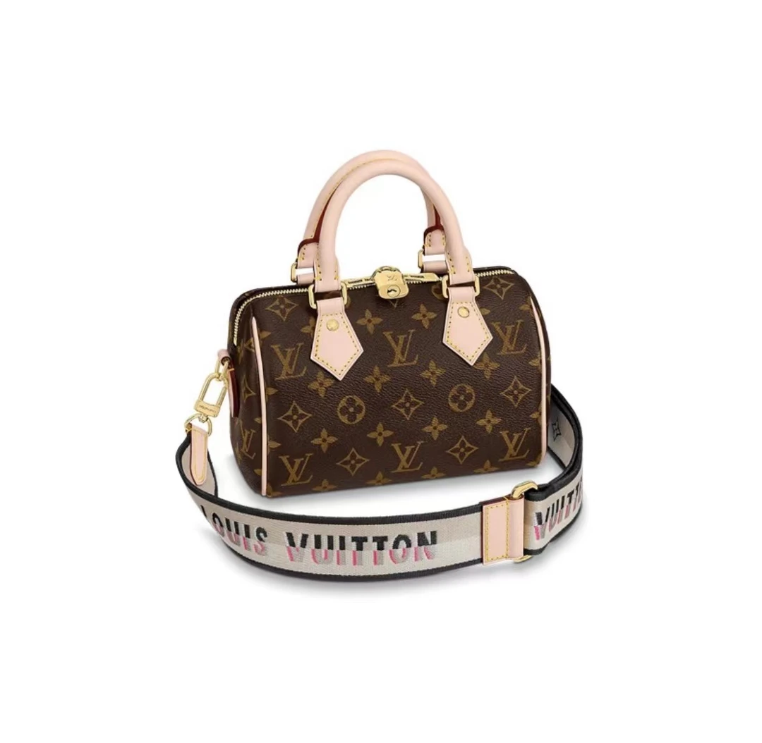 全新未使用 LouisVuitton/路易威登  【夏玮玮专属】speedy20枕头包