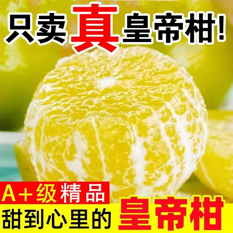 广西武鸣皇帝柑新鲜水果当季柑橘薄皮大果贡柑桔子甜整箱橘子包邮
