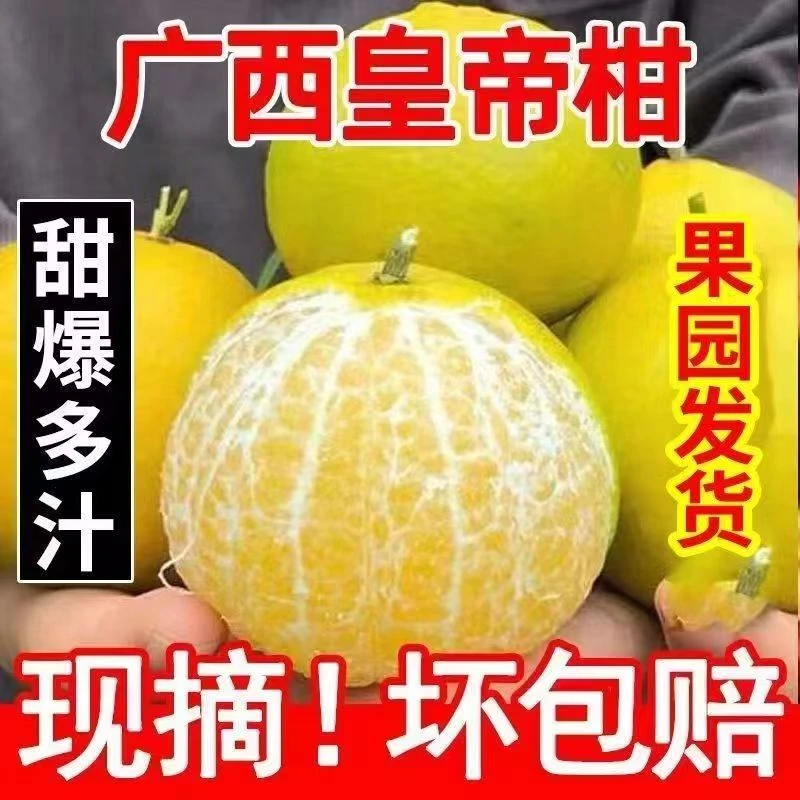 广西皇帝柑新鲜水果贡柑5斤柑橘薄皮批发橘子桔子