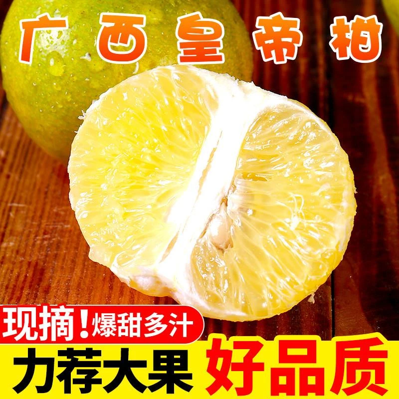 广西皇帝柑橘子当季水果新鲜整箱装砂糖蜜桔应季贡柑橘子蜜桔子