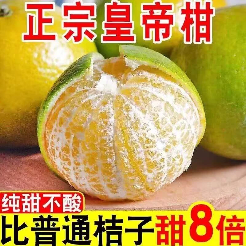 广西皇帝柑大果新鲜水果整箱当季蜜桔爆汁柑橘甜桔橘子沃5柑