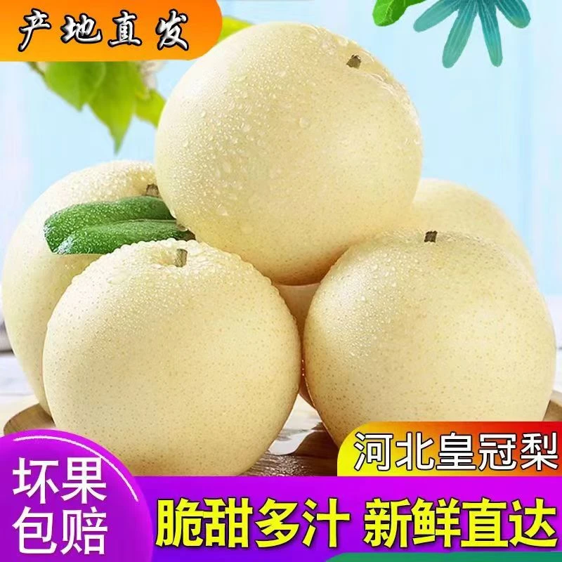 皇冠梨新鲜水果梨子皮薄多汁甜酥脆包邮非雪梨砀山梨鸭梨清脆