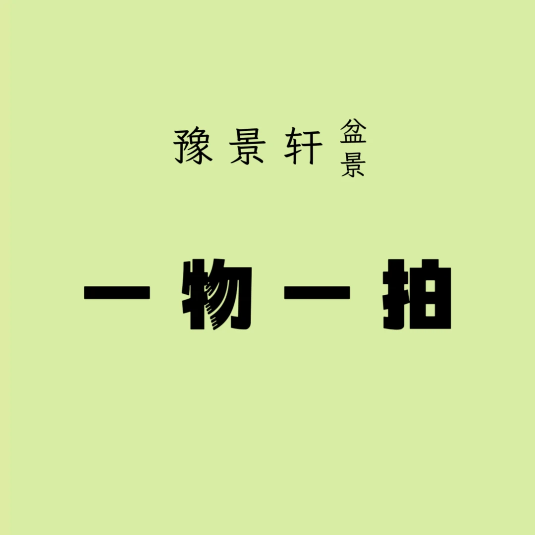 (豫景轩盆景)盆景通用链接 一物一拍