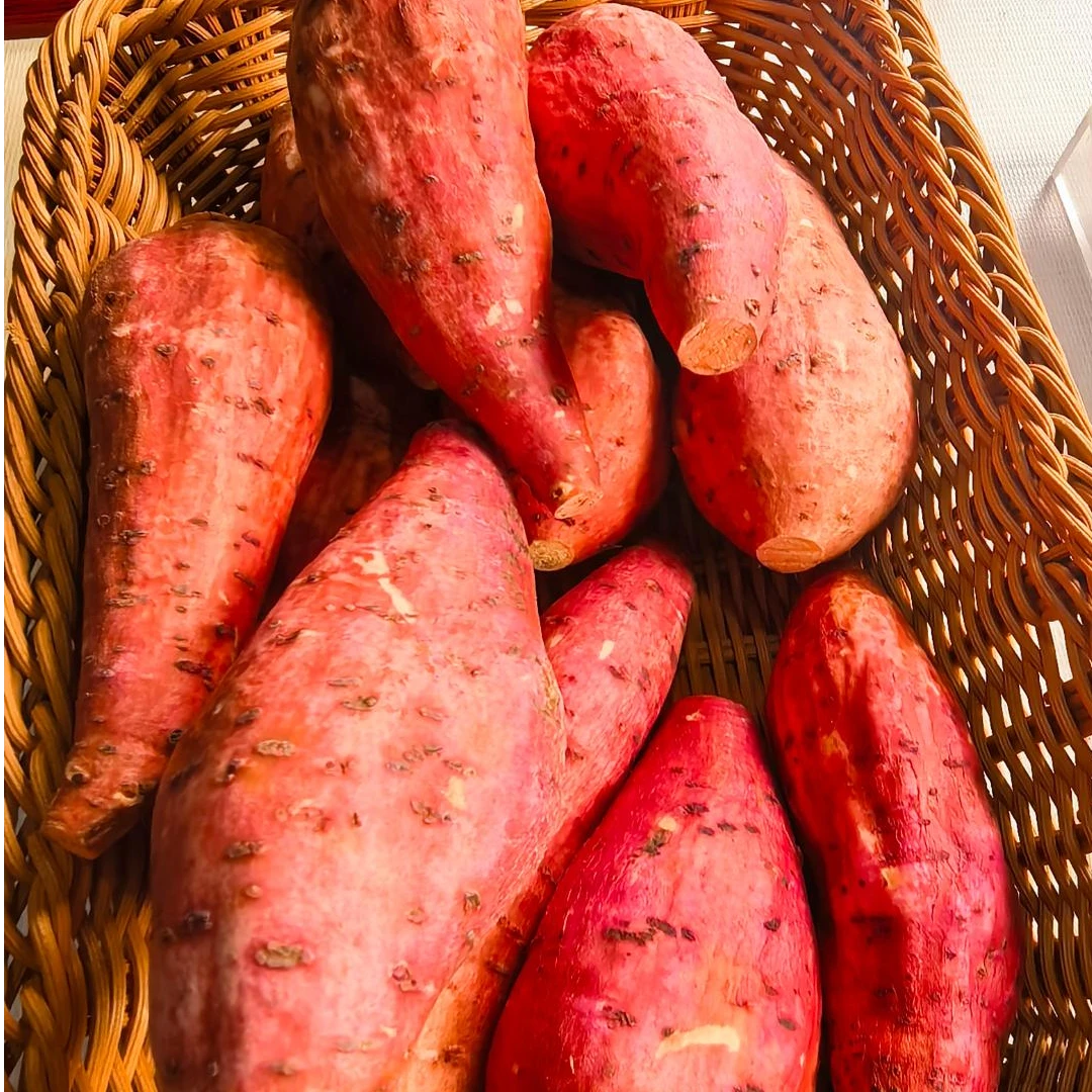 遂宁蓬溪本地蜜薯