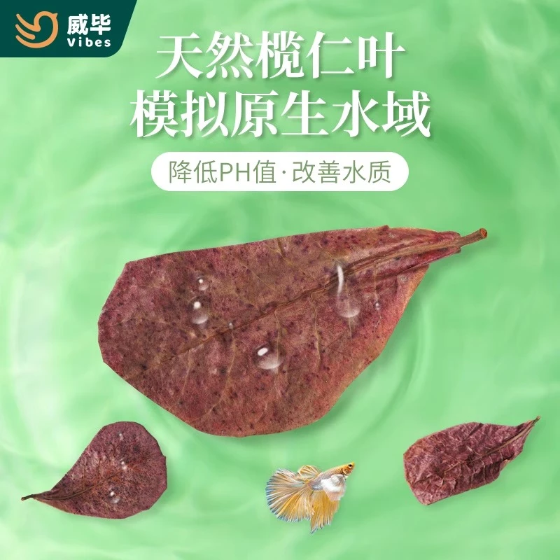 天然榄仁叶斗鱼懒人叶鱼缸降酸PH值调节剂乌龟龙眼叶水族造景叶子