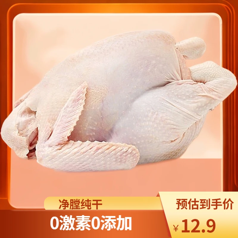 广星清真一级纯干三黄鸡冻品白条鸡童子鸡农家土鸡净膛0腐剂0添加