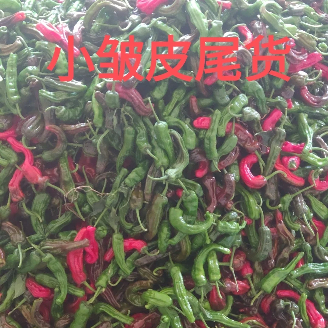 安徽阜阳特辣小皱皮青红辣椒随机发小皱皮罢园尾货大小随机