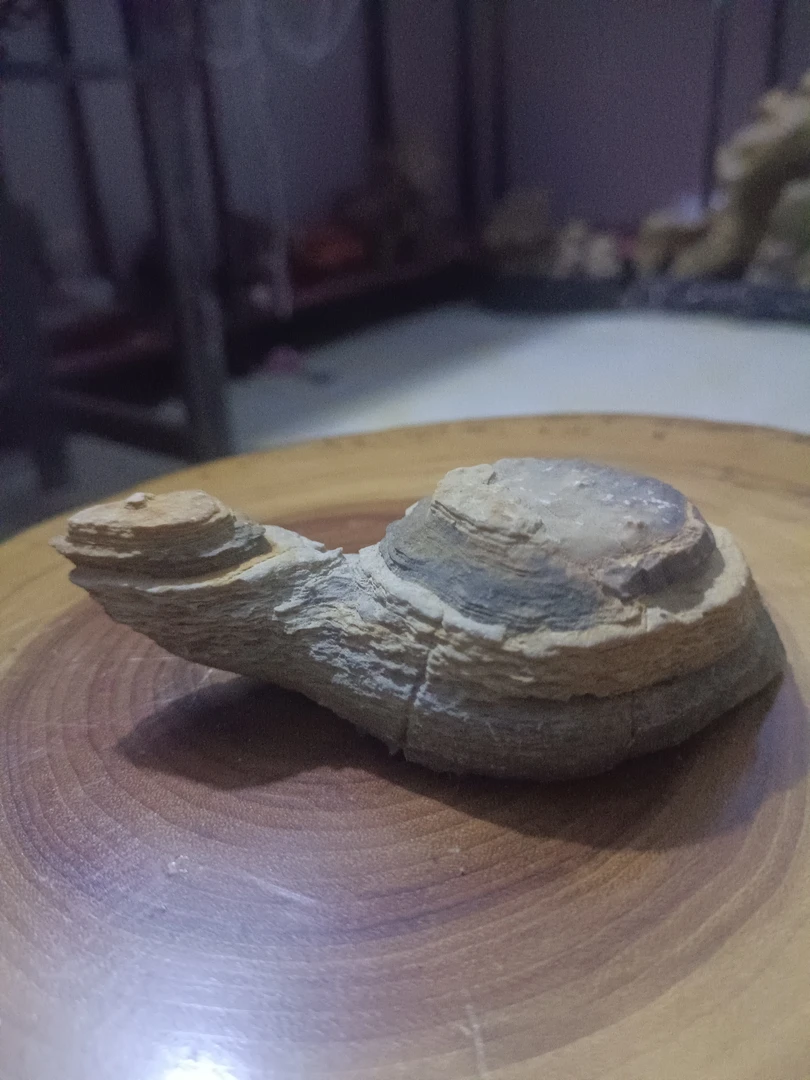 精品灵璧石小乌龟摆件
