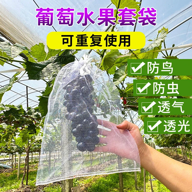 水果保护袋草莓防鸟防虫网眼袋西红柿番茄葡萄专用网套袋网眼袋子