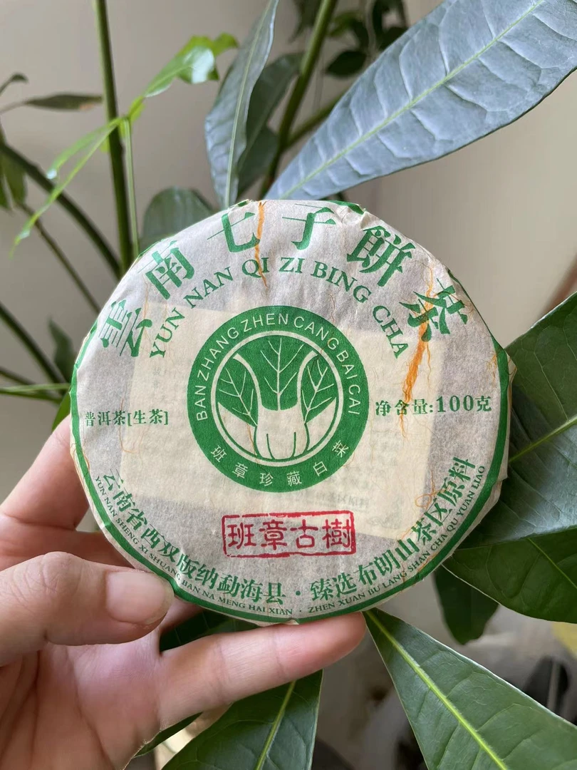 班章普洱生茶，口感霸气，茶底较肥厚，茶水甜