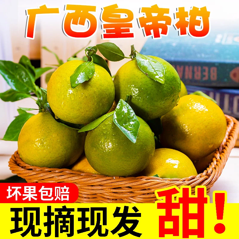 广西皇帝柑3/5/8斤包邮 新鲜水果当季整箱贡柑黄帝柑橘子砂糖桔子