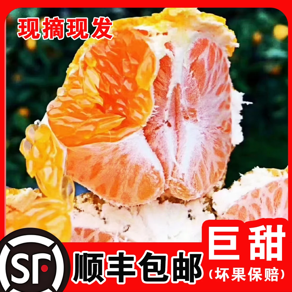 【送人首选】小果10斤