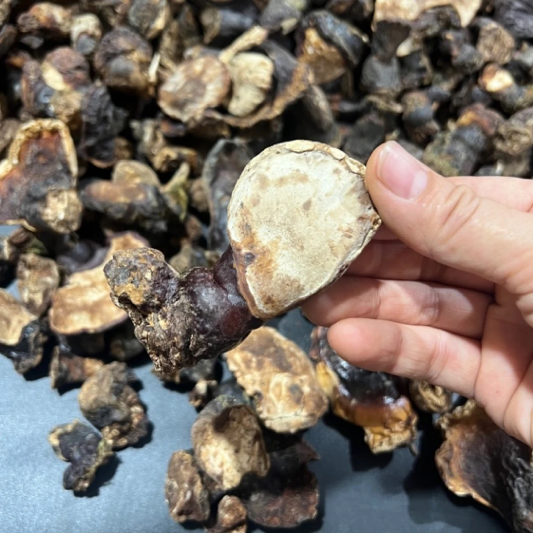 西藏松山灵芝小个250克非干山药