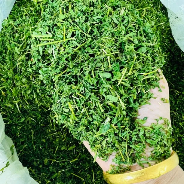 鸡骨草泡水喝就好一包250克500克非紫米