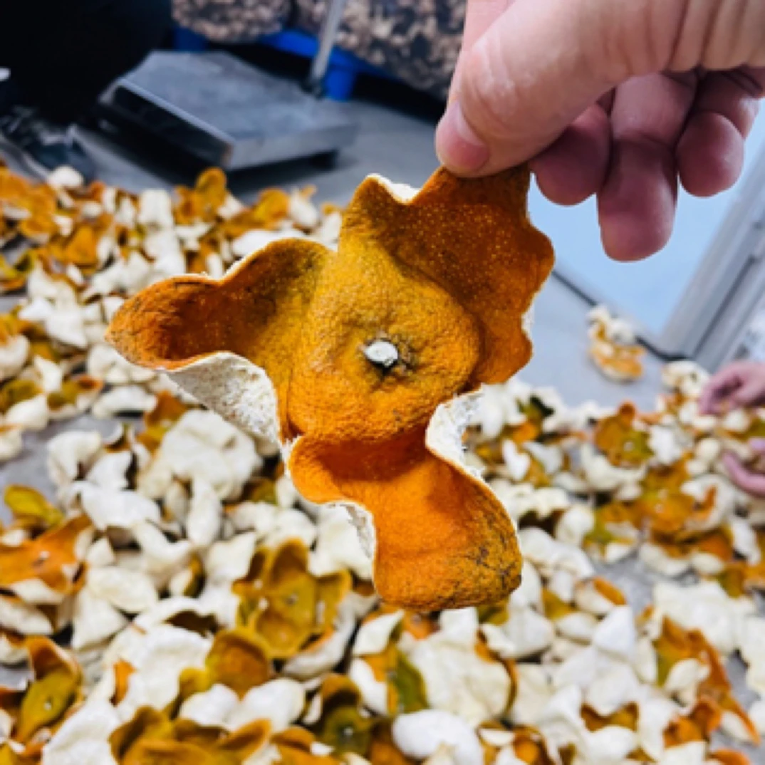 新会东甲陈皮大红皮冬后油皮仔精选